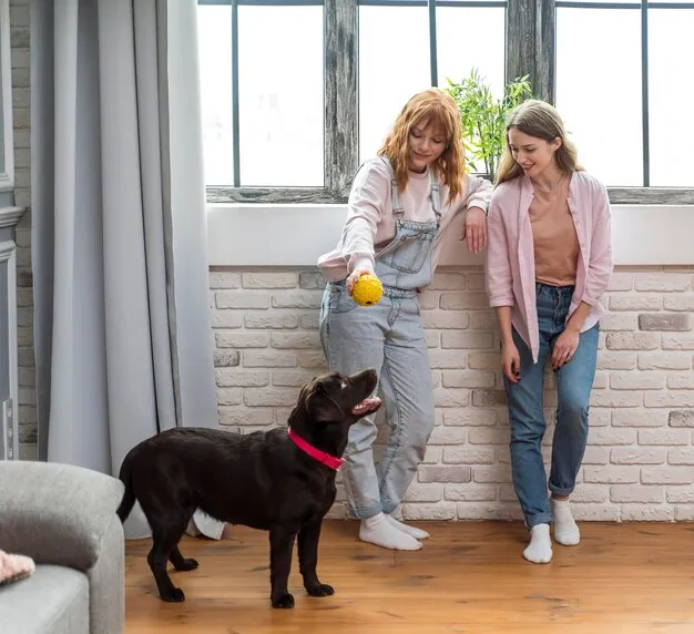 pet friendly house cleaning