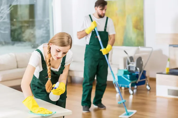 Professional Cleaning London